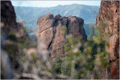 Pinnacles, March 2010
