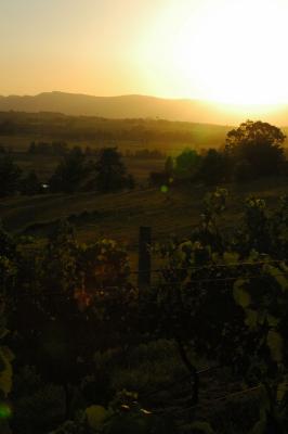 Sunset with wine