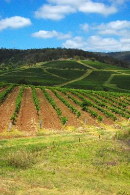 The Hunter region