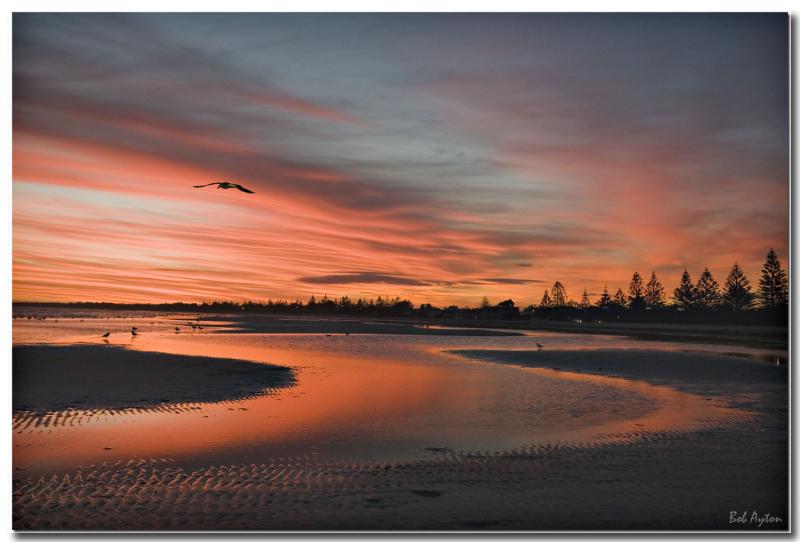 Birds Sunset_8579.jpg
