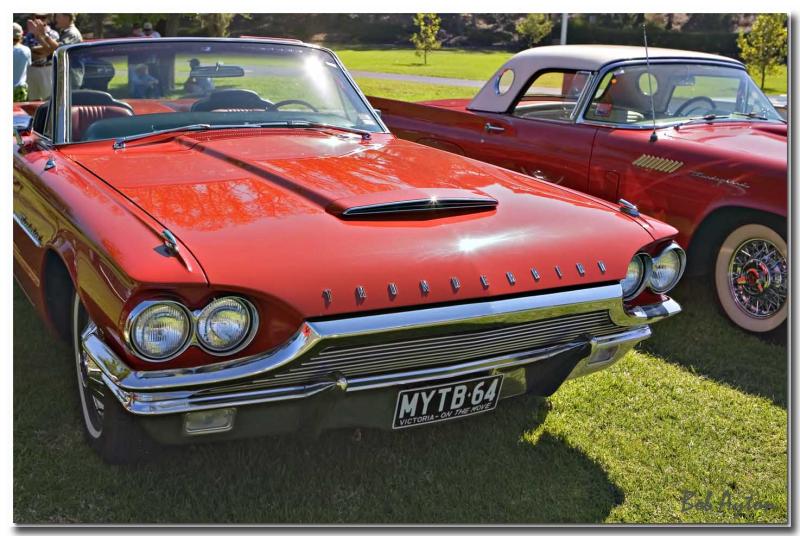 Ford Thunderbird