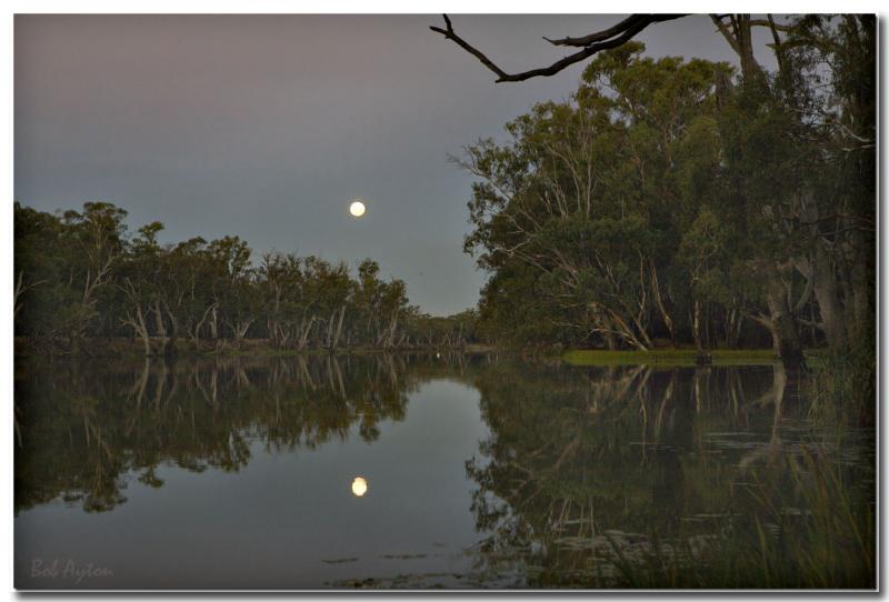 Edwards River Moonrise.jpg