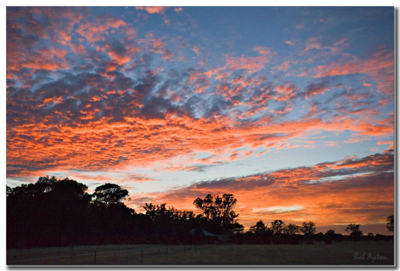 Sunrise Denni_8893.jpg