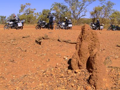 Ant Hills