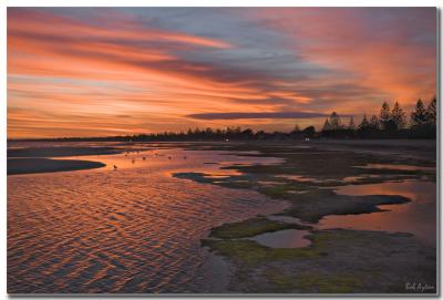 Altona Sunset 3_8574.jpg