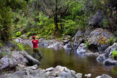 Buckland River