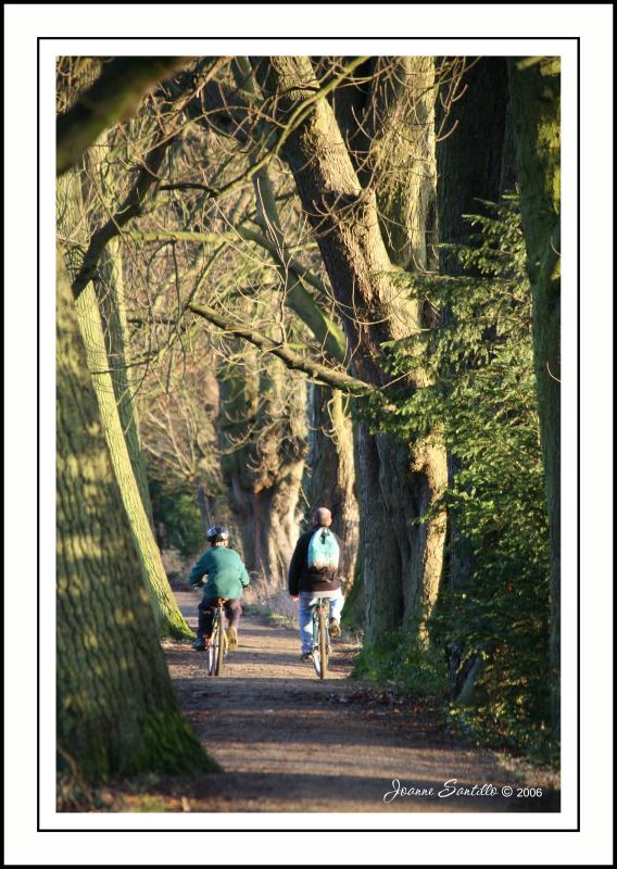 A Cycle in the Park