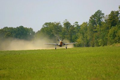 IMG_3494.JPG