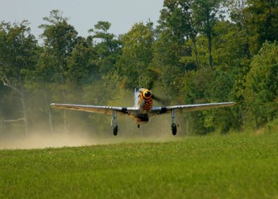 IMG_3498.JPG