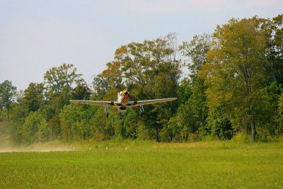 IMG_3500.JPG