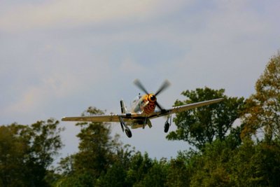 IMG_3506.JPG