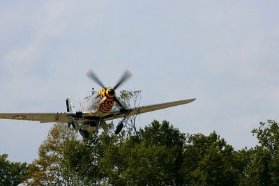 IMG_3508.JPG