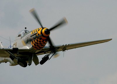IMG_3510.JPG