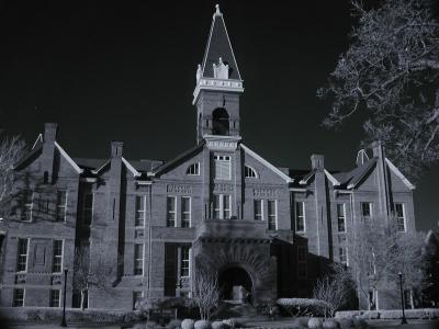 Testing White Balance and two InfraRed filters