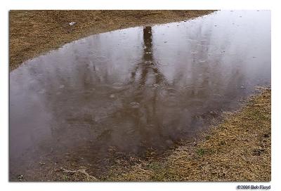 Shadows In The Rain II