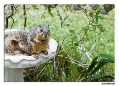4/16 - Breakfast Guest