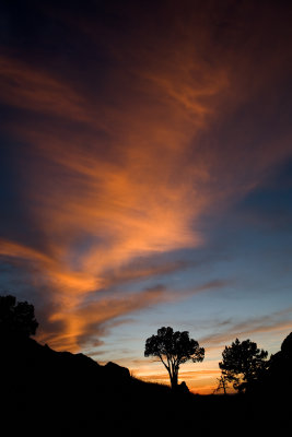 A Sunset in Big Bend NP.jpg