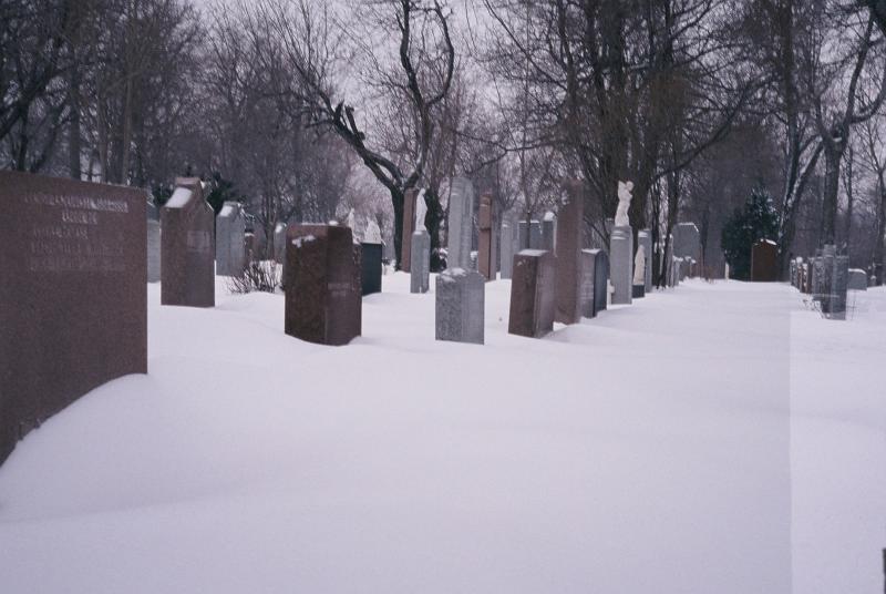 Cementerio de Montreal II