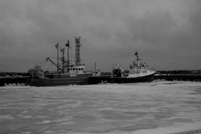 Barcos pesqueros hivernando