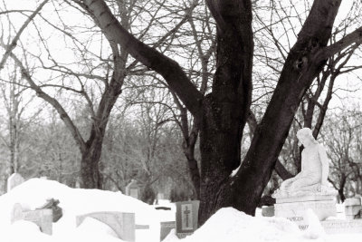 En el cementerio II. Leica IIIc
