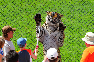 Out of Africa Wildlife Park