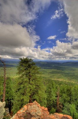 Mogollon Rim