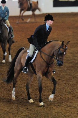 Scottsdale Arabian Horse Show