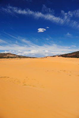 Coral Pink Sand Dunes