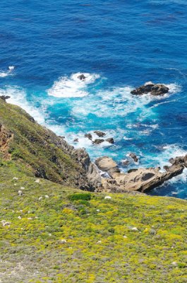 Central California Coast