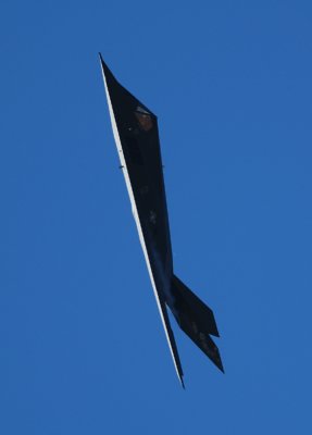 Vertical Nighthawk