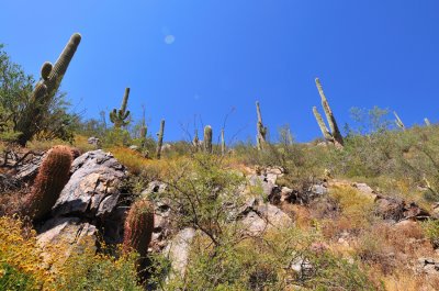 Sunrise Peak