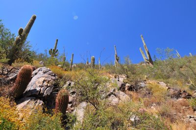 Sunrise Peak