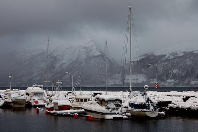 DSC_7525.jpg