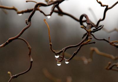 4. Februar