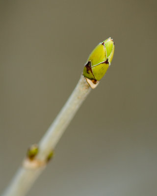 2. April