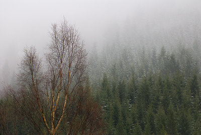 5. April