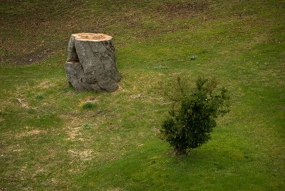 7. April 