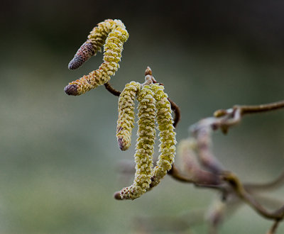 23. April