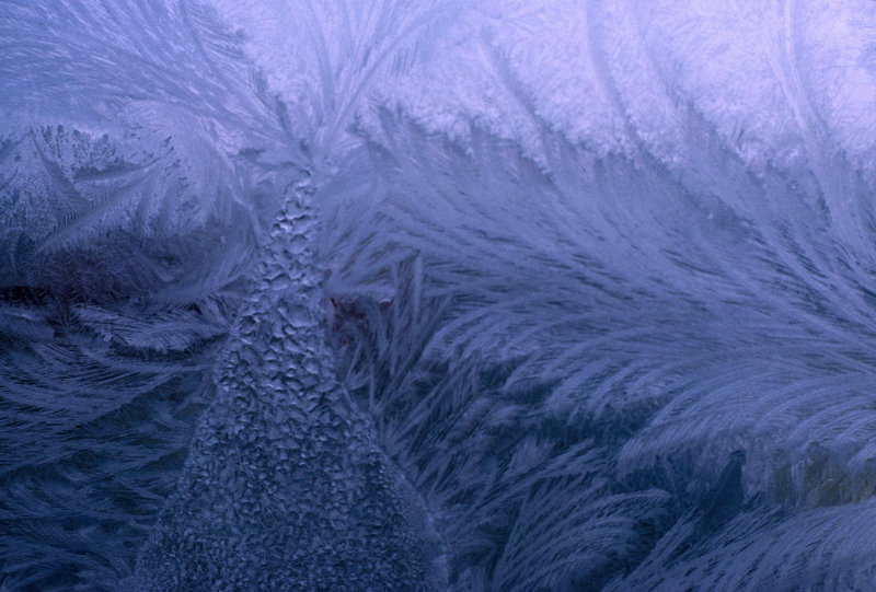 Frozen pattern