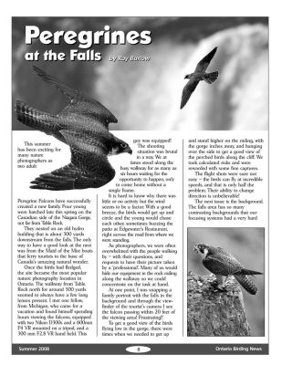 Ontario Birding News   Summer 2008 Page 8