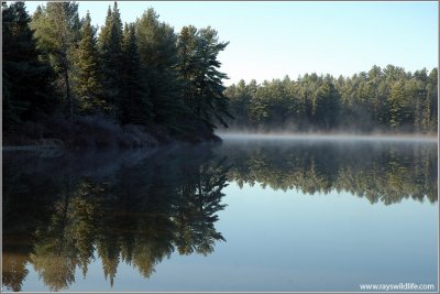 Calm Waters