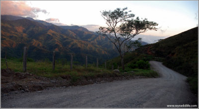 Costa Rica Scenery