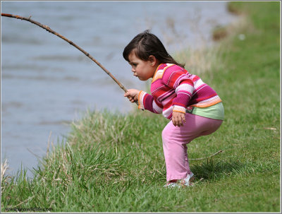 Fishing at 50 Point