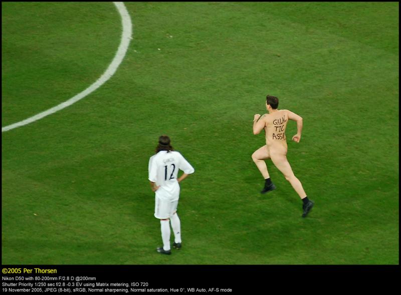 The Streaker - Mark Roberts