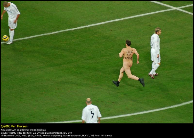 The Streaker - Mark Roberts
