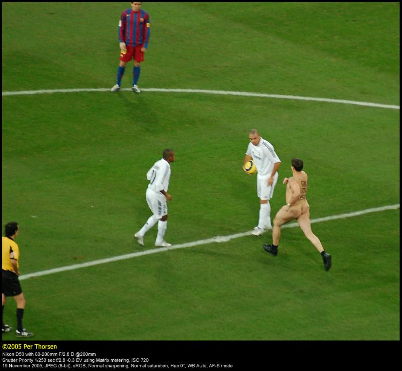 The Streaker - Mark Roberts