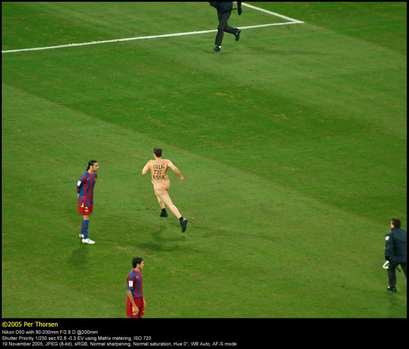The Streaker - Mark Roberts