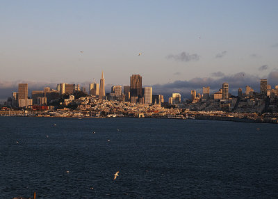 View from Alcatraz