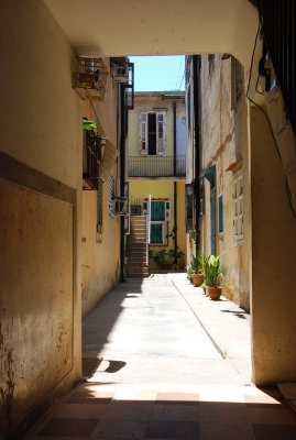 DSC_3745.JPG