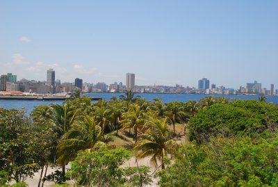 DSC_3781.JPG